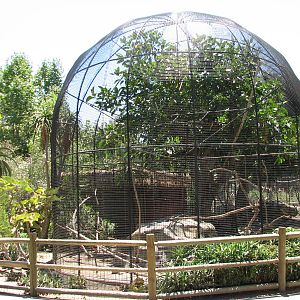 African/Madagascan Exhibit