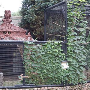 Kabouterland Speeltuinen en Zoo - Exhibit for Rufous-legged Owl