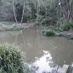 Waterbird enclosure