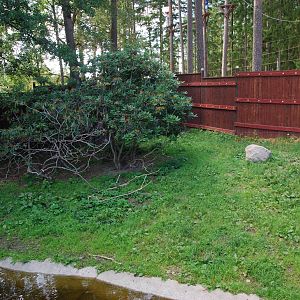 Kolmården Wildlife Park -Dhole exhibit