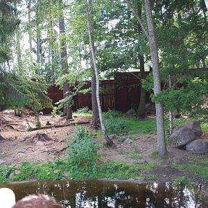 Kolmården Wildlife Park -Dhole exhibit