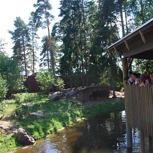 Kolmården Wildlife Park -Dhole exhibit