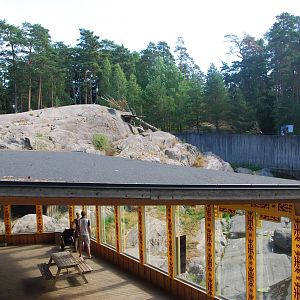 Kolmården Wildlife Park -Snowleopard enclosure