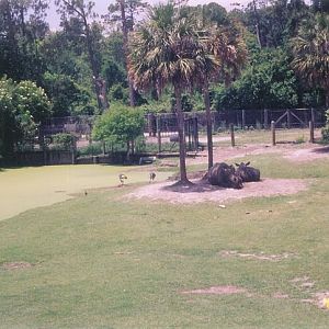 Mixed Species Exhibit