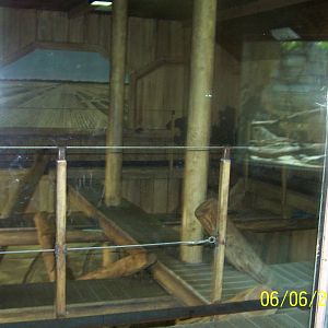 Indoor Sun Bear Exhibit ~ Asia Quest