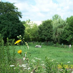 Prairie Exhibit ~ North America