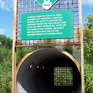 Bear Trap ~ Polar Frontier