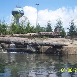 Kodiak Brown Bear Exhibit ~ Polar Frontier