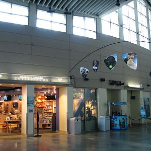 Great Hall of the Pacific - Entrance