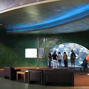 Great Hall of the Pacific - Tropical Pacific Preview