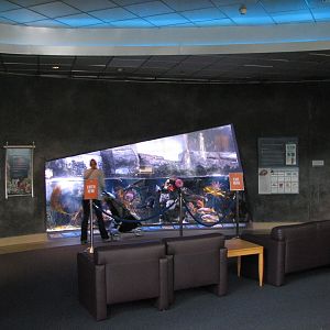 Great Hall of the Pacific - Northern Pacific Preview