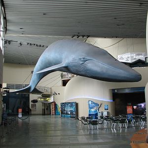 Great Hall of the Pacific - Interior