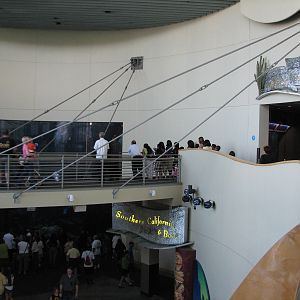 Great Hall of the Pacific - Bridge