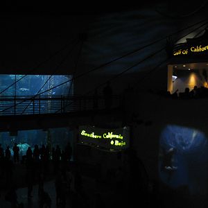 Great Hall of the Pacific - Bridge during Whales Show