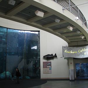 Great Hall of the Pacific - Blue Cavern and Bridge