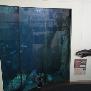 Great Hall of the Pacific - Blue Cavern