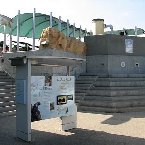 Southern California/Baja Gallery - California Sea Lion and Harbor Seal Exhi