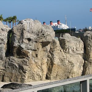 Southern California/Baja Gallery - California Sea Lion and Harbor Seal Exhi