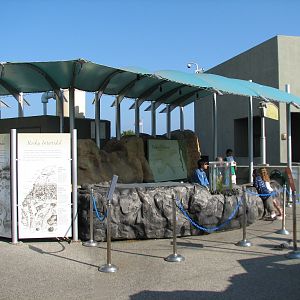 Southern California/Baja Gallery - Tidepool Treasures Exhibits