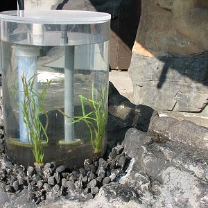 Southern California/Baja Gallery - Tidepool Treasures Exhibits