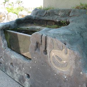 Southern California/Baja Gallery - Tidepool Treasures Exhibits