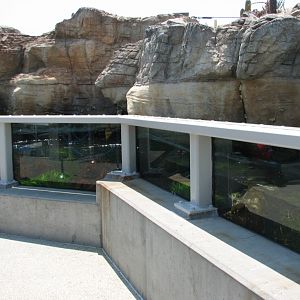 Southern California/Baja Gallery - Rcoky Intertidal Exhibit