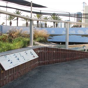 Southern California/Baja Gallery - Shorebird Sanctuary Exhibit
