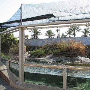 Southern California/Baja Gallery - Shorebird Sanctuary Exhibit