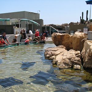 Southern California/Baja Gallery - Ray Touchpool