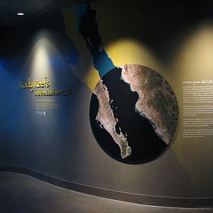 Southern California/Baja Gallery - Southern Gulf Display