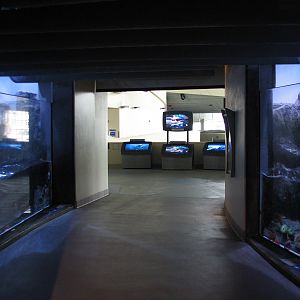 Northern Pacific Gallery - Surge Channel Exhibit