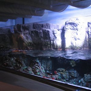 Northern Pacific Gallery - Surge Channel - Right Exhibit