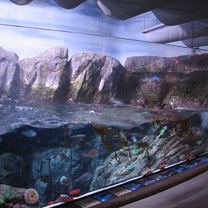 Northern Pacific Gallery - Surge Channel - Left Exhibit