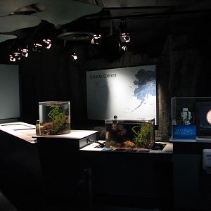 Northern Pacific Gallery - Coastal Corner Discovery Lab