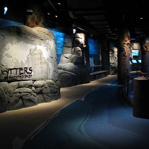 Northern Pacific Gallery - Sea Otter Exhibit Viewing Area