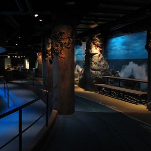 Northern Pacific Gallery - Sea Otter Exhibit Viewing Area