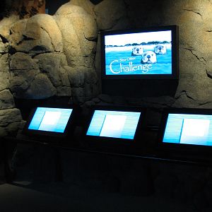 Northern Pacific Gallery - Sea Otter Challenge Kiosk