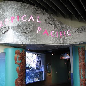 Tropical Pacific Gallery - Entrance