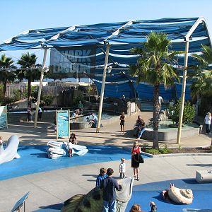 Explorers Cove - Playground and Shark Lagoon