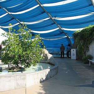 Explorers Cove - Shark Lagoon - Touchpool