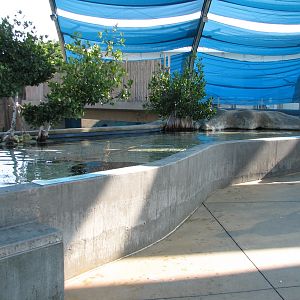 Explorers Cove - Shark Lagoon - Touchpool