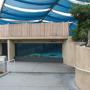 Explorers Cove - Shark Lagoon - Underwater Viewing Area