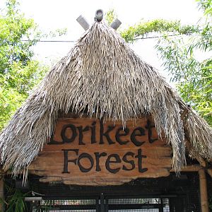 Explorers Cove - Lorikeet Forest