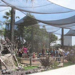 Explorers Cove - Lorikeet Forest