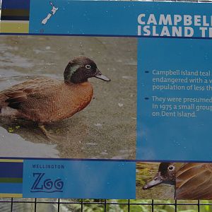 example of signage