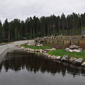 New brown bear exhibit -Borås Zoo