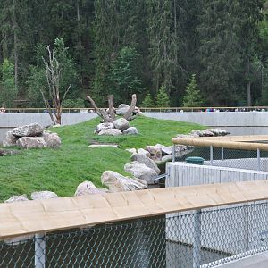 New brown bear exhibit -Borås Zoo
