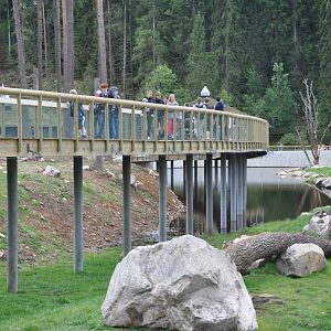 New brown bear exhibit -Borås Zoo