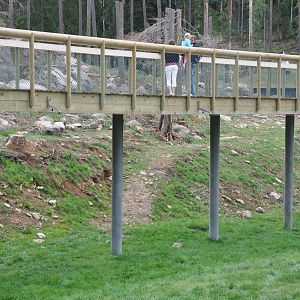 New brown bear exhibit -Borås Zoo