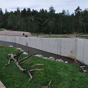 New brown bear exhibit -Borås Zoo